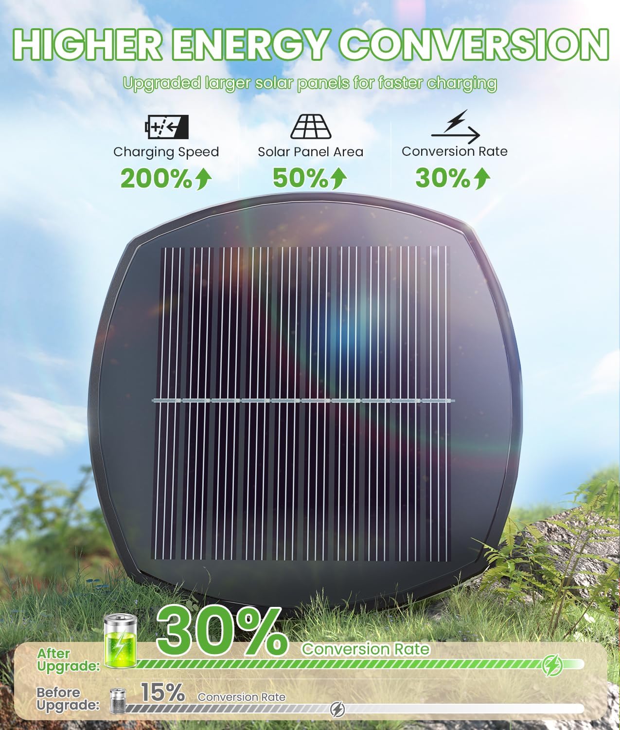 Solar Path Lights – Bright & Weatherproof