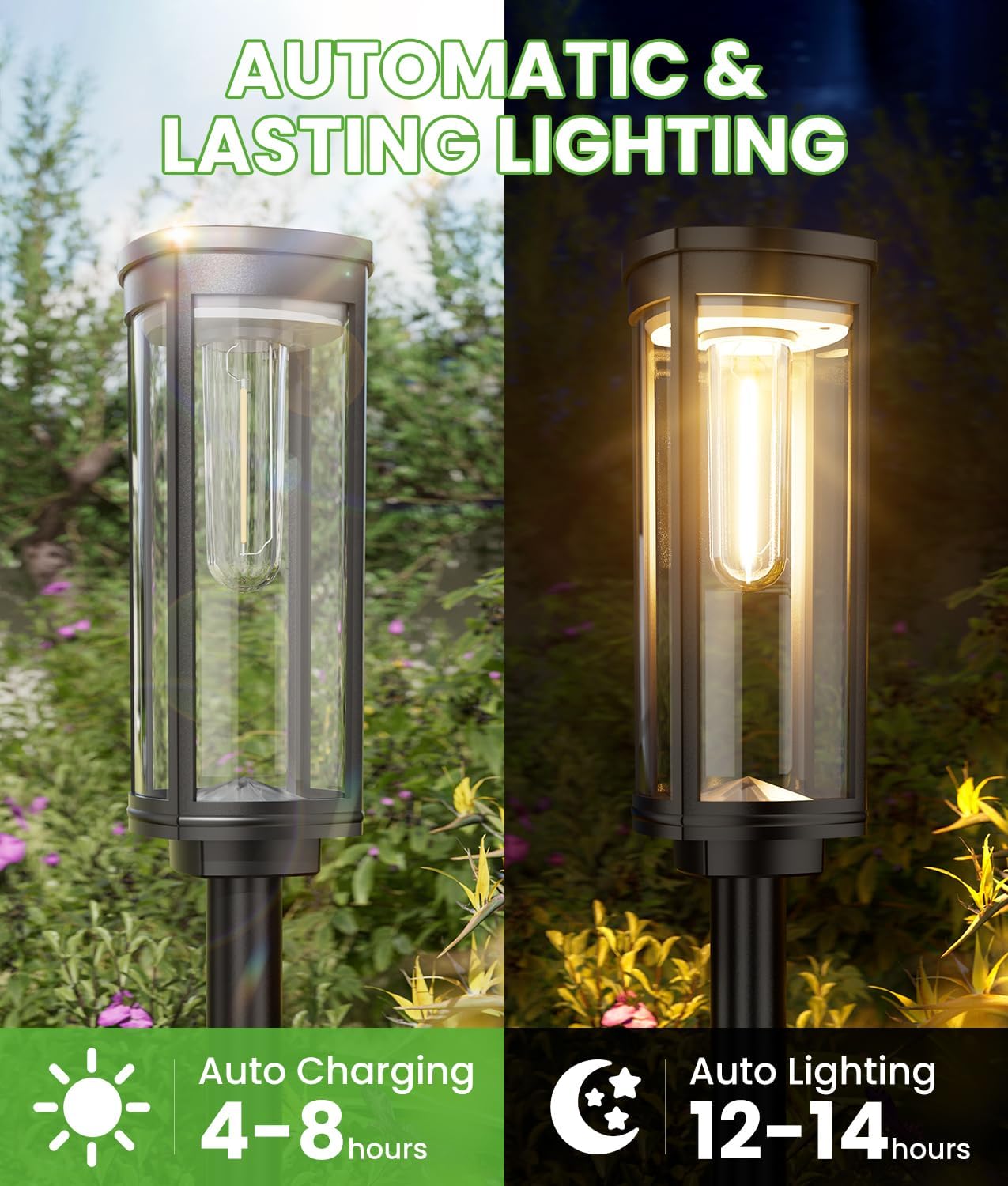Solar Path Lights – Bright & Weatherproof