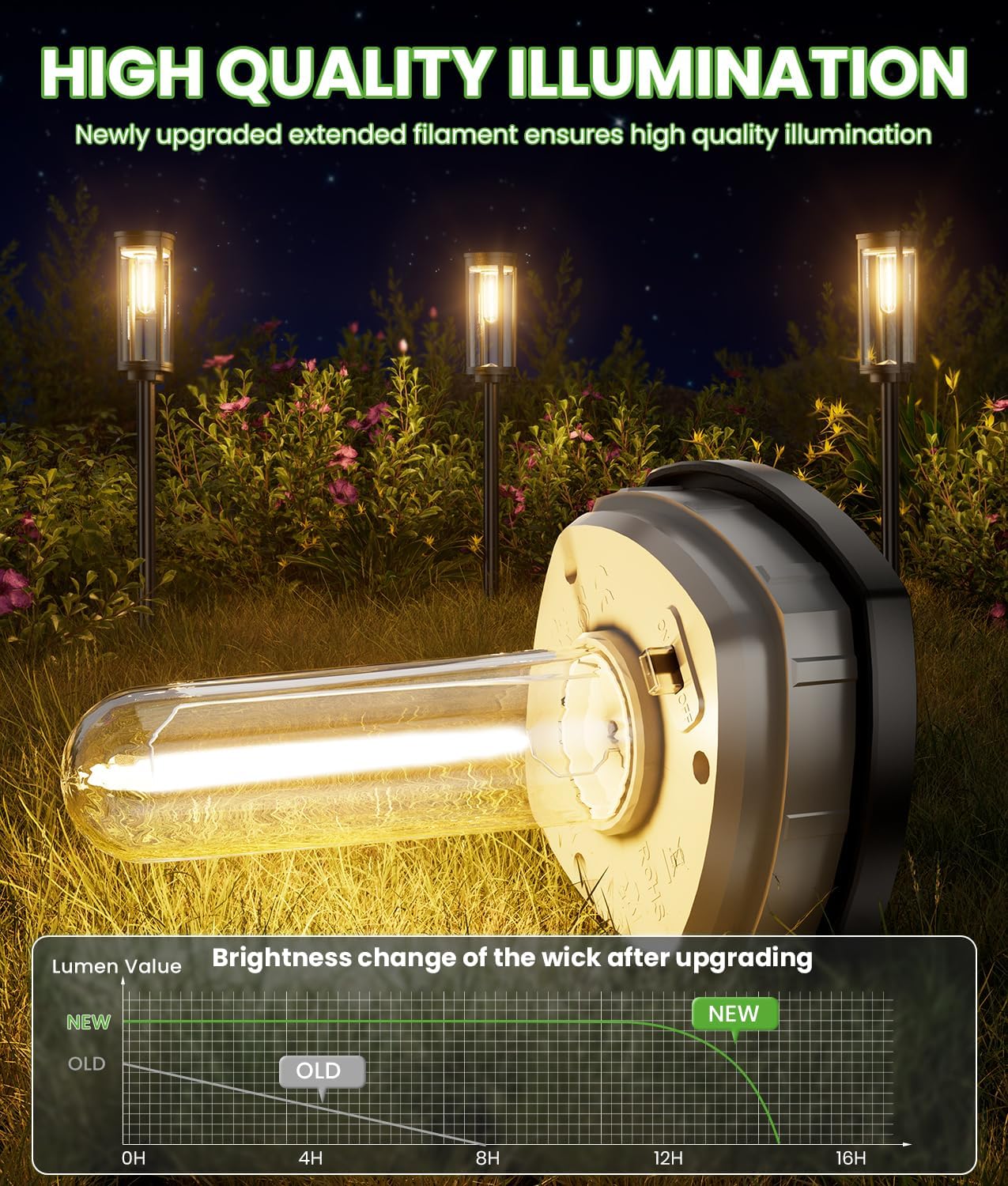 Solar Path Lights – Bright & Weatherproof