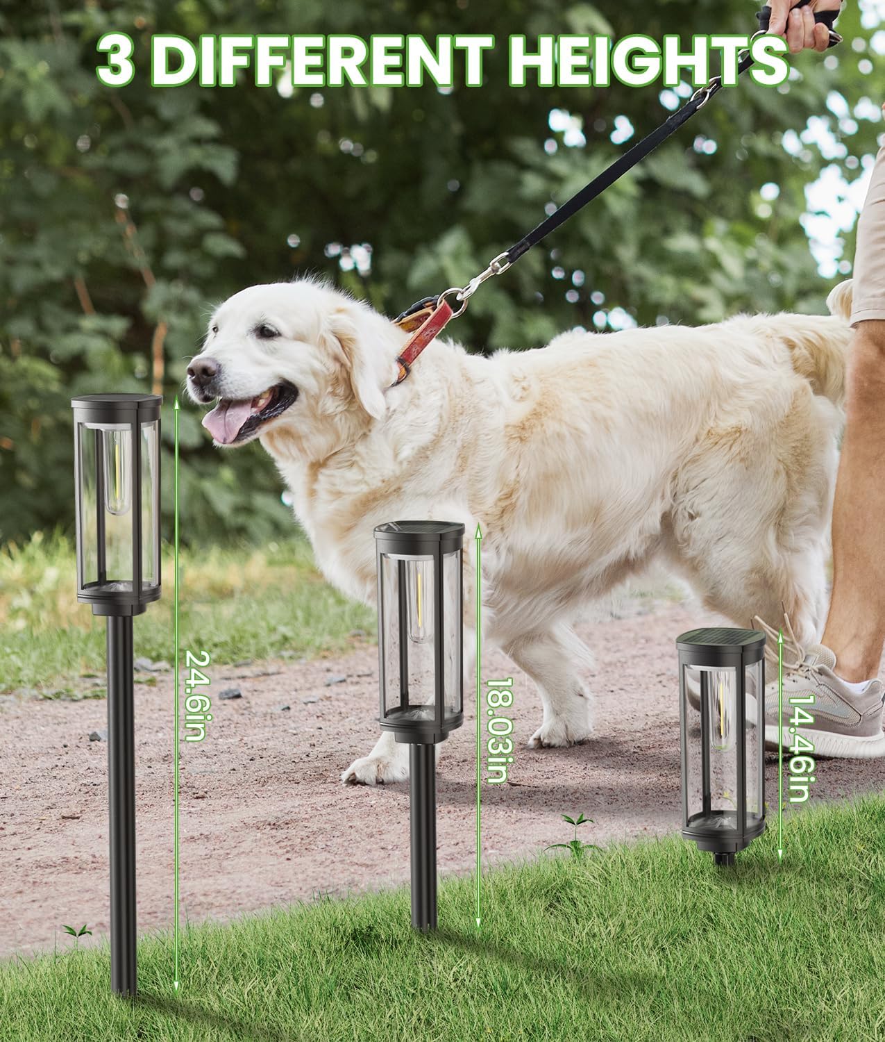 Solar Path Lights – Bright & Weatherproof