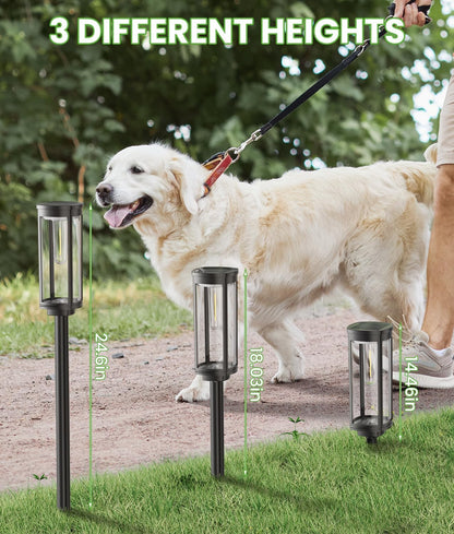 Solar Path Lights – Bright & Weatherproof